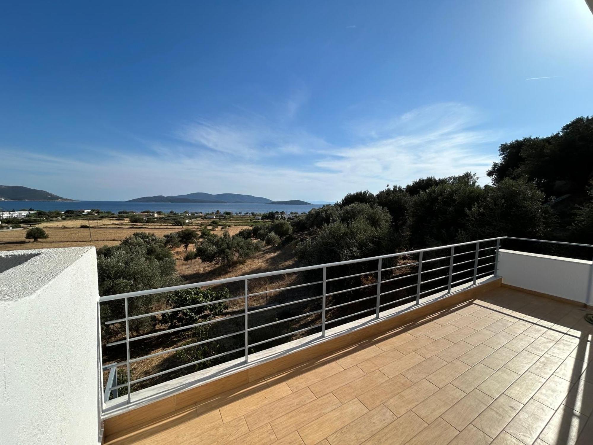 Tzaferi Olive * Marmari (Evia)